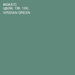 #608A7C - Viridian Green Color Image